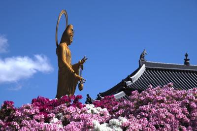 堺　法雲禅寺　 ツツジと厄除け観音