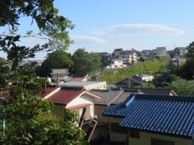 海老名市街の相模國分寺と伊勢山自然公園を参拝・散策しました