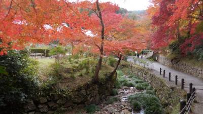 錦の隠れ里　円照寺から正暦寺へ