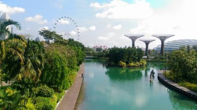 メイン観光地を周るシンガポール旅行!①~ダウンタウン・マリーナベイサンズ~