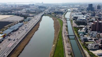 ふらり空撮　半田運河上流の桜並木