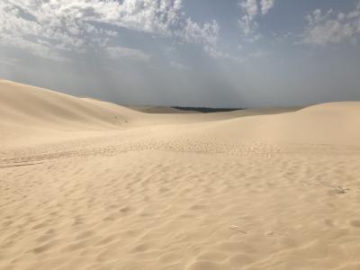 2回目のシドニー家族旅行　③