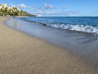 モンクシールもビーチで昼寝