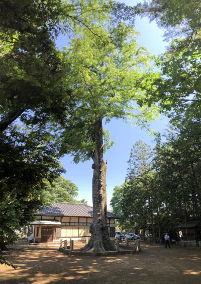 武蔵野台地の命綱だった堀兼の井と掘兼神社