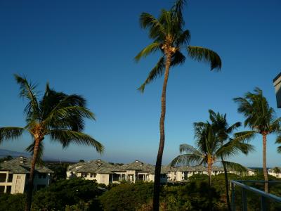 ハワイ島　マイプラン・・・Stay in コンドミニアム「ビスタ・ワイコロア」