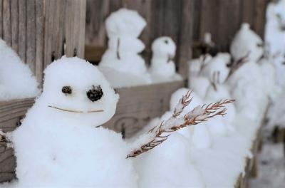 冬の会津旅（２）～晴れの鶴ヶ城と吹雪の大内宿