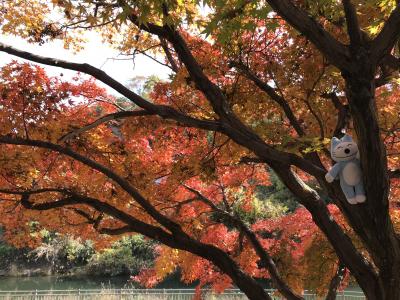 トッポ奈良へ行く(百人一首の旅)