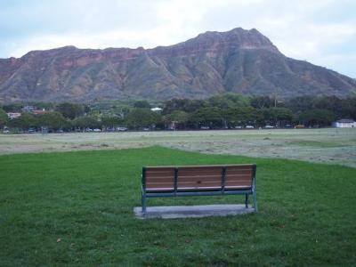 美しいロックダウンの中のハワイ①