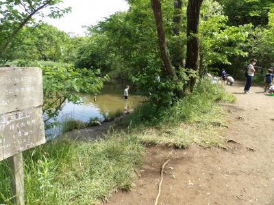 舞岡公園－2020年春