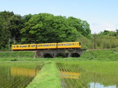 小ささを楽しむ三岐鉄道北勢線　乗り鉄の旅