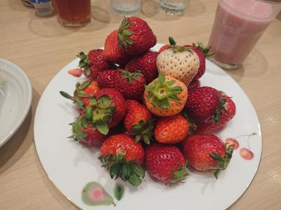 新宿のフルーツパーラーの”果実園リーベル新宿店”で苺食べ放題への旅202003