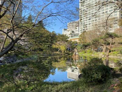 2020年3月　朝の日比谷公園