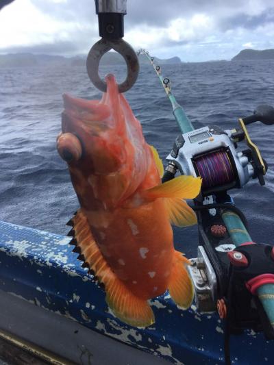 日本のガラパゴス！小笠原の旅③海釣りと宮の浜