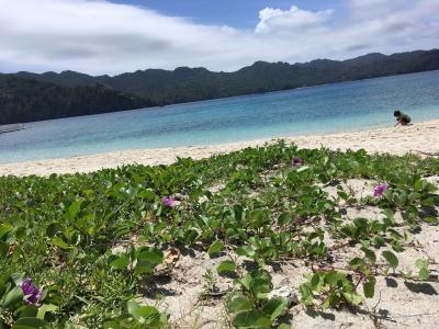 日本のガラパゴス！小笠原の旅⑥涙涙涙の最終日！