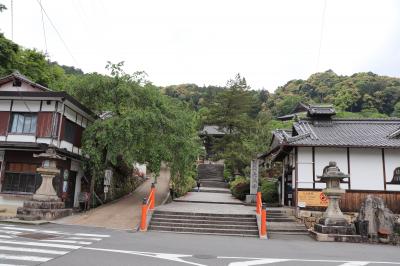 奈良 長谷寺2020年初夏