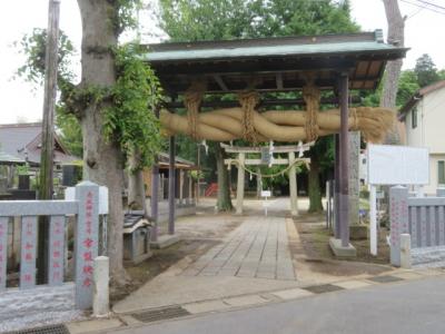 流山の江戸川土手を散策して流鉄・流山線平和台駅に