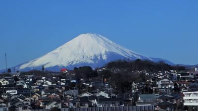家族旅行2020冬プロローグ・京都その1,新幹線の窓に映った富士