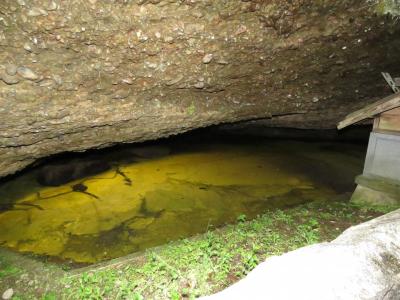 2020.5.22 金　天皇陵墓　鳴門/淡路島/加古川/豊岡