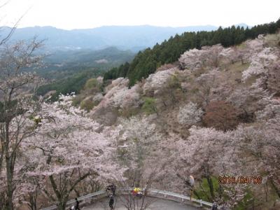 2016年春　吉野・飛鳥・室生寺へ