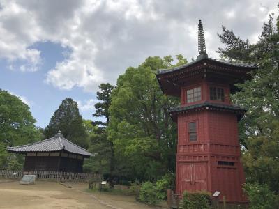 妙正寺公園から哲学堂公園までウォーキング^ ^