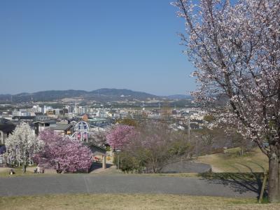 京田辺 田辺公園(Tanabe Park, Kyotanabe, Kyoto, JP)