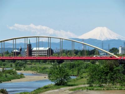   自転車で新たな発見があった花中心の身近な景色2020年５月（前編）～自粛の日々の運動不足解消の近所散策～