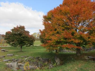 紅葉の留山川ダムと天童高原