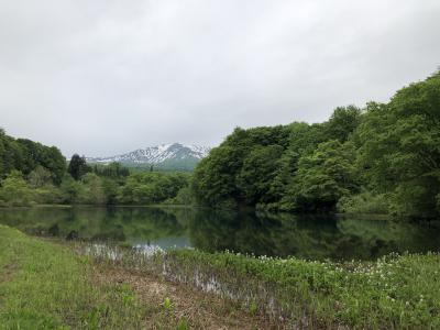 山形温泉ひとり旅 ①月山志津温泉 変若水の湯つたや篇