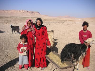 ベドウィンの家族