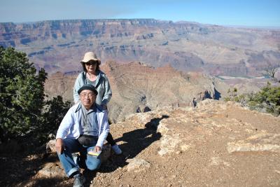 アメリカ絶景の旅８日間