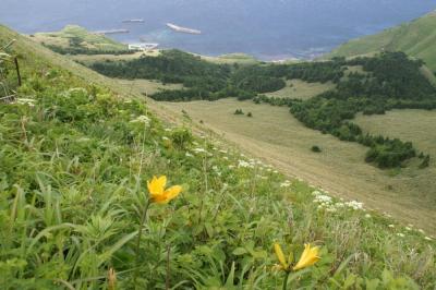 2008年 利尻・礼文島 旅行記 ２