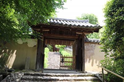 奈良 白毫寺・新薬師寺・春日大社・東大寺と鹿