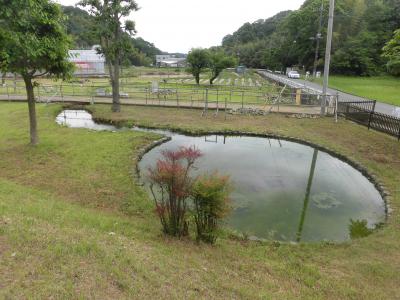 2020春 鶴見川源流の泉：JR横浜線 古淵駅から淵野辺駅へお散歩