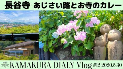 鎌倉 長谷寺 あじさい路 と お寺のカレー