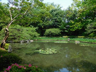 平安神宮神苑　～初夏の訪れを告げる花菖蒲や睡蓮を満喫～