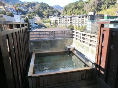 母と湯河原温泉療養旅・フォレストリゾートゆがわら水の香里