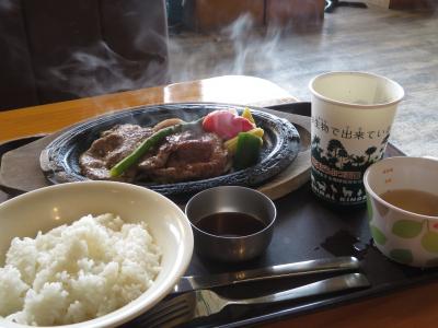 車で遠征２度目の那須どうぶつ王国（１）道の駅「友愛の森」での朝食から那須どうぶつ王国色々グルメやグッズ＆矢板北PAで東北自動車道みやげ