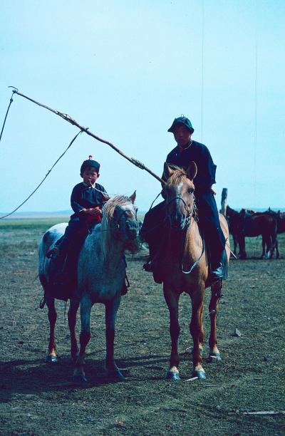 回顧録　１９９１年香港・中国旅行＆調査　その１０　遊牧民の住居調査ため草原へ