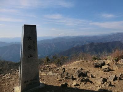 月例登山報告/奥多摩 大岳山・その3.大岳山に登頂！鋸尾根を下山