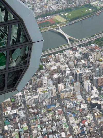 東京スカイツリー・いざ見参