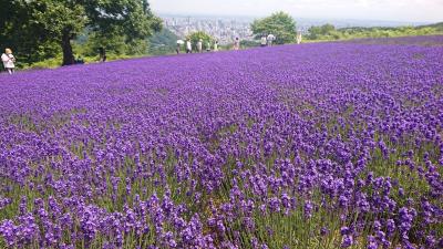 北海道の春夏秋冬 定番観光地とガイドブックに載らない穴場スポットをご紹介。