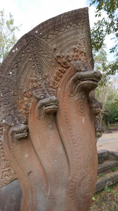 9年ぶりののアンコールワットで初日の出 ②密林に眠るベンメリア