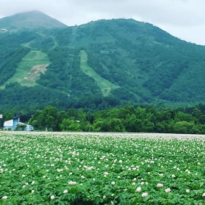 【北海道2019】札幌に３年住んだ経験のある私がコーディネートする3泊４日の札幌＆ニセコ旅。