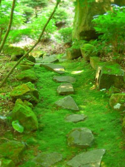 東雲の里あじさい園の新緑に癒される・・・