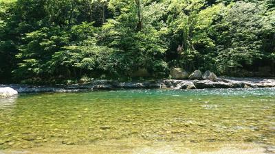 6月前半に諏訪峡でお散歩してきました。