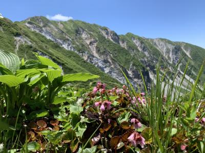 国立公園大山ユートピア登山　2020.6.7日曜日