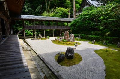 彦根藩主・井伊家ゆかりの寺社仏閣巡り