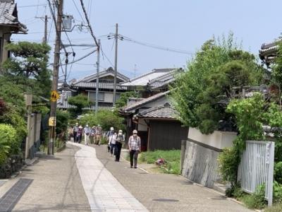 はなのてら　三室戸寺！