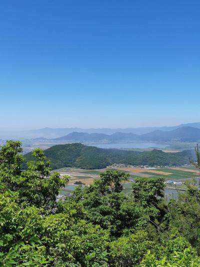 東近江の里山歩き～ ③　「繖山」のささゆり