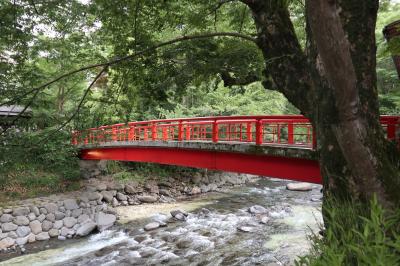 どこまでも広がる空、突き抜ける風、美しい富士山が見たかったのに｡ﾟ･（>Д<）･ﾟ｡